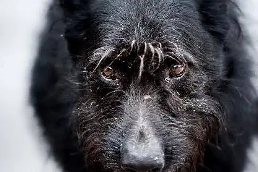 KAJ - nie przegap szczęścia, które  może z Tobą za