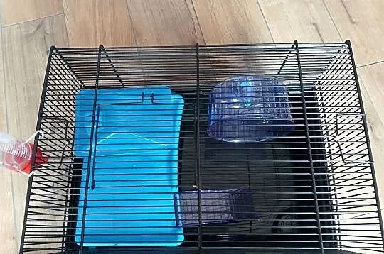 Klatka dla chomika miniaturki z akcesoriami, Wielkopolskie, Krotoszyn