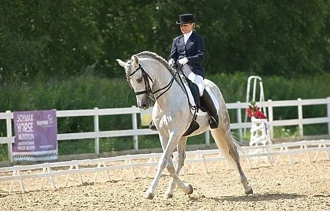 Sprzedam roczniaka, , Hejdyk