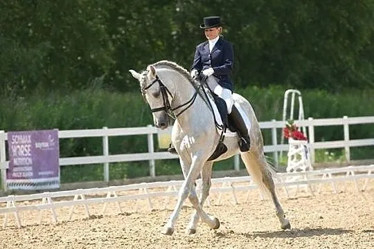 Sprzedam roczniaka, , Hejdyk