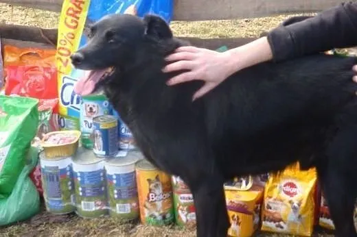 Borysku, Ty kochasz wszystkich, kto Ciebi pokocha,