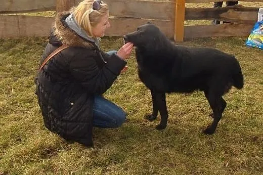 Borysku, Ty kochasz wszystkich, kto Ciebi pokocha,