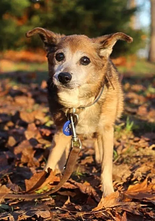 Lotti.Wierzę bardzo w dom..., kujawsko-pomorskie