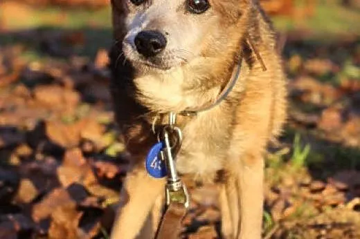 Lotti.Wierzę bardzo w dom...,  kujawsko-pomorskie 