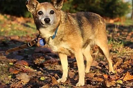 Lotti.Wierzę bardzo w dom...,  kujawsko-pomorskie 