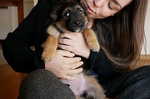 Misia - cud kruszyna, słodka psina - do adopcji,  
