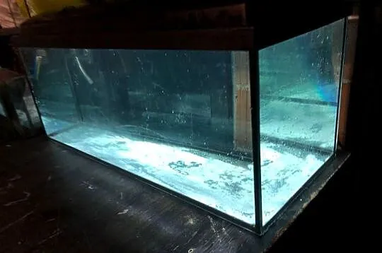 Akwarium 100 cm , 160 L , pokrywa oświetlenie led, Łódzkie, Justynów