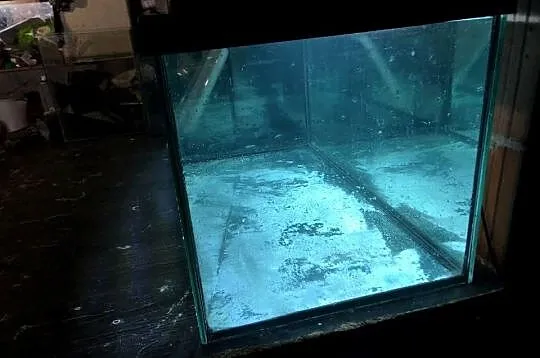 Akwarium 100 cm , 160 L , pokrywa oświetlenie led, Łódzkie, Justynów