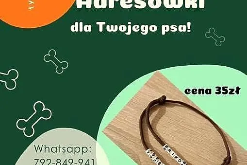 Adresówki dla zwierząt