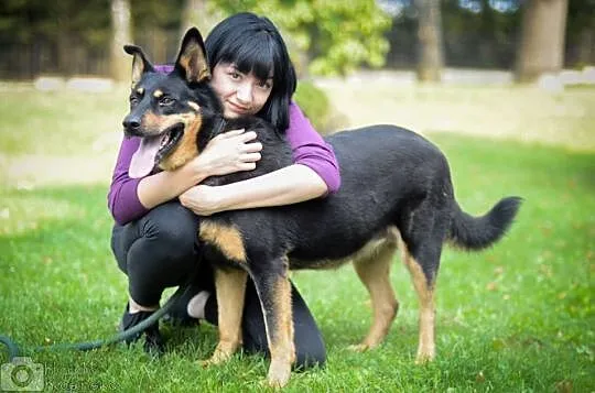 Wspaniała Farida, skora do zabaw, wesoła sunia!