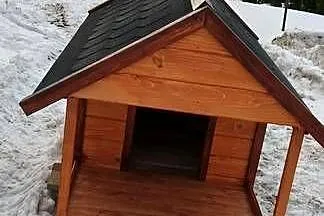 Buda dla dużego psa