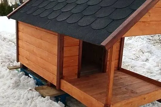 Buda dla dużego psa, Podkarpackie, Łańcut