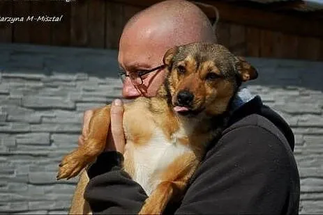 ŻABKA- mała, wesoła, młoda suczka do adopcji.,  ma