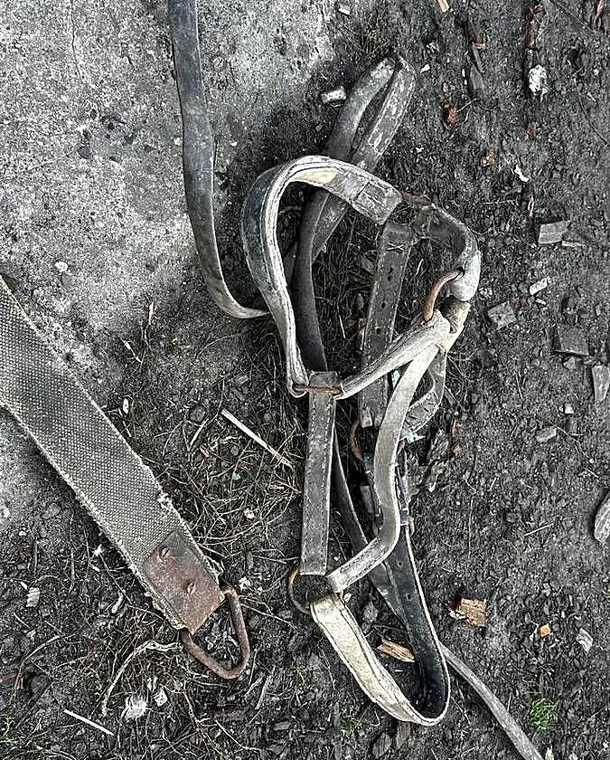 Puszorek do konia, Wielkopolskie, Mutowo