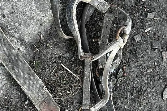 Puszorek do konia, Wielkopolskie, Mutowo