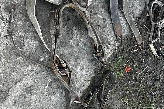 Puszorek do konia, Wielkopolskie, Mutowo