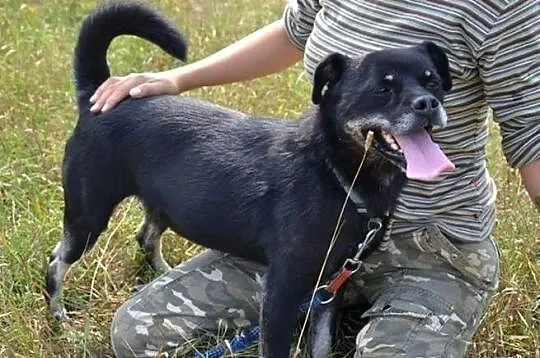 Najbardziej przytulaśna małpka świata czyli nasz M