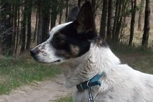 Rubi szuka swojego miejsca na świecie. Może podaru