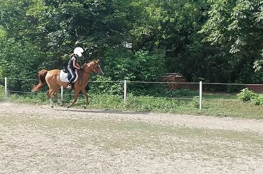 Esperaza MG, , Serock