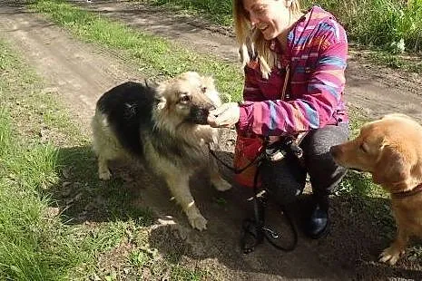 Major - skarb czeka na dom FILMIK,  mazowieckie Wa