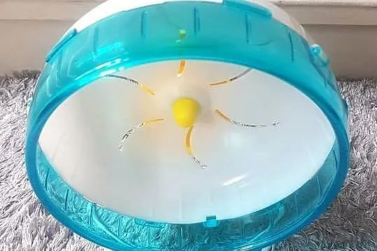 Plastikowy kołowrotek dla gryzoni chomika myszy 19 cm, Łódzkie, Łódź