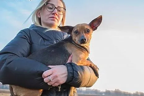 Tuszek, MALEŃSTWO szuka kochającego domu PILNE,  K
