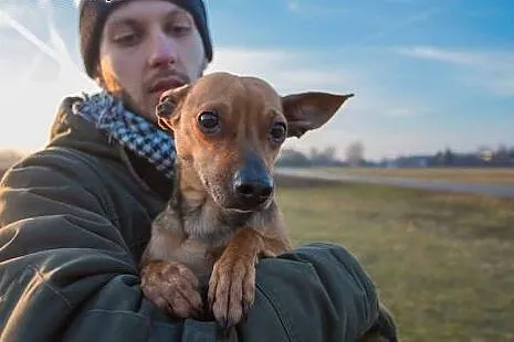Tuszek, MALEŃSTWO szuka kochającego domu PILNE,  K