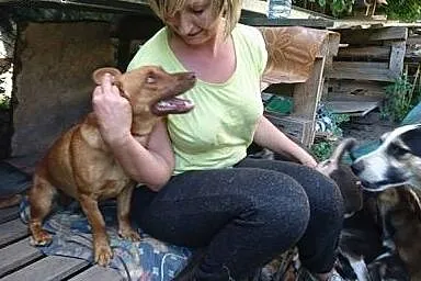 8 miesięczna Tosia, przepiękna, bardzo grzeczna su