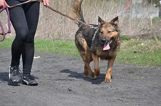 Dona w typie ON :) Mądra, kochana podaruje Ci swoj