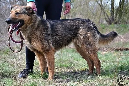 Dona w typie ON :) Mądra, kochana podaruje Ci swoj