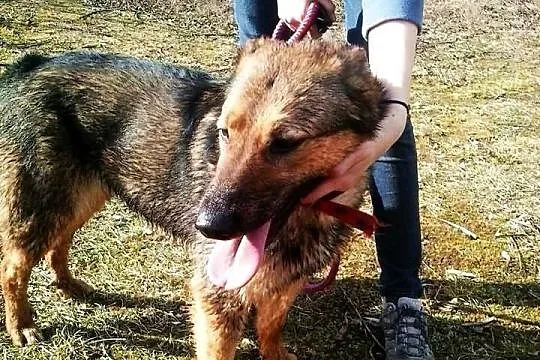 Dona w typie ON :) Mądra, kochana podaruje Ci swoj
