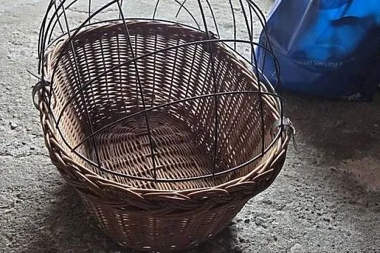 Kosz wiklinowy na rower dla psa kota, Kujawsko-pomorskie, Grudziądz