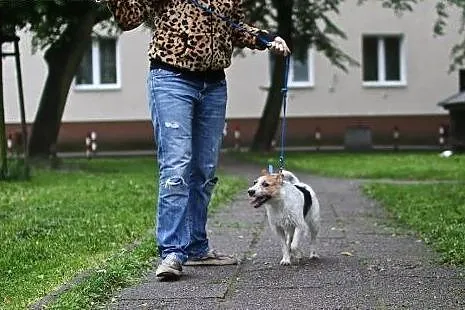KORA - i już wiesz, że to z nią biegać i bawić się