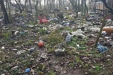 Nemo - pies, który spędził swoje życie nie widząc 