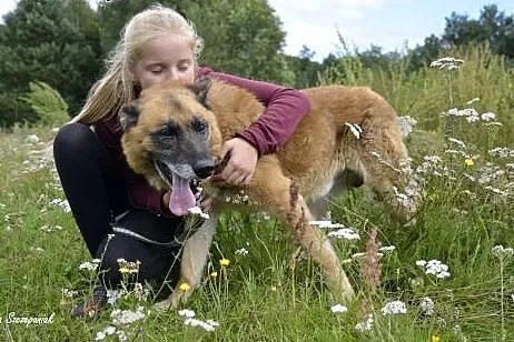 AXEL - Podaruj mi swoje serce ...,  pomorskie Wejh