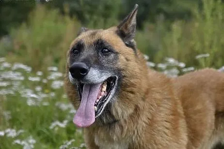 AXEL - Podaruj mi swoje serce ...,  pomorskie Wejh