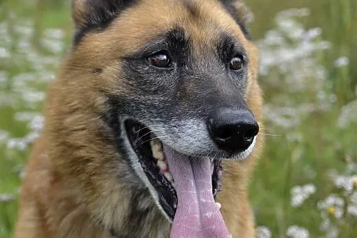 AXEL - Podaruj mi swoje serce ...,  pomorskie Wejh