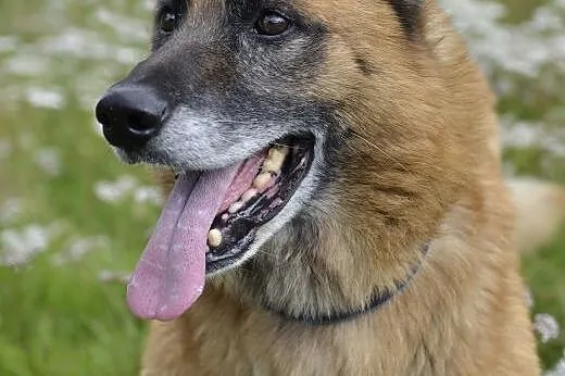 AXEL - Podaruj mi swoje serce ...,  pomorskie Wejh
