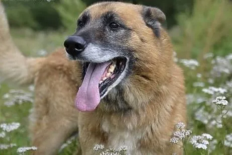 AXEL - Podaruj mi swoje serce ...,  pomorskie Wejh