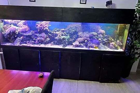 Akwarium 1260l okazja!
