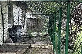 Woliera zewnętrzna przyścienna