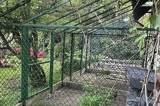 Woliera zewnętrzna przyścienna, Mazowieckie, Warszawa