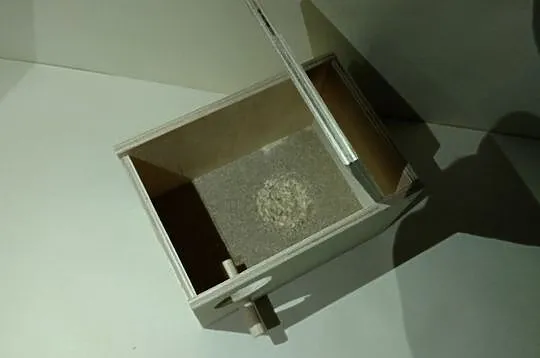 Budka lęgowa poziomadla papugi falistej, nierozłączki, budki lęgowe, , Bieńkówka