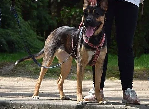 Majka Miss Mix, mazowieckie Warszawa
