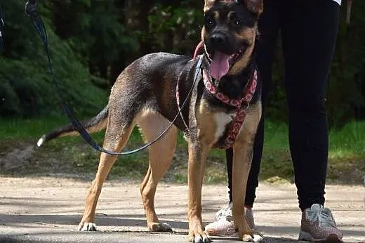 Majka Miss Mix,  mazowieckie Warszawa