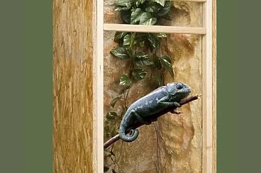 Terrarium z płyty OSB pionowe 60x60x120 cm, Wielkopolskie, Pięczkowo