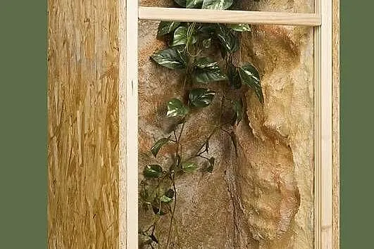 Terrarium z płyty OSB pionowe 60x60x120 cm, Wielkopolskie, Pięczkowo