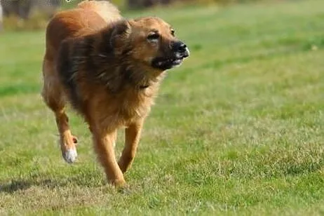 Teddy zapewni Ci radość każdego dnia,  lubelskie L