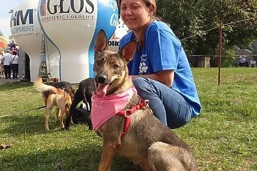 Leila -idealna! śliczna ok 1,5 roczna sunia,  mazo