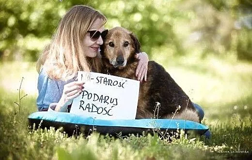 LANER - Los się musi odmienić! Psi senior szuka Do